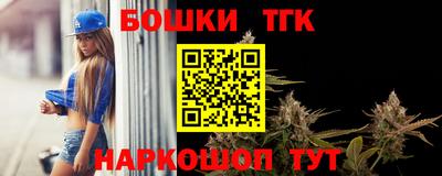 МДПВ Партизанск