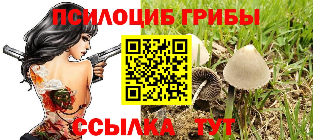 Галлюциногенные грибы Psilocybe  Вход с VPN  Рубцовск 